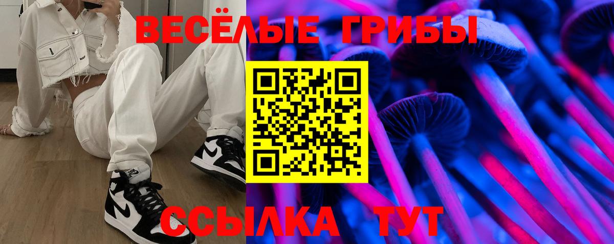Каменск-Шахтинский  Псилоцибиновые грибы Psilocybe  купить наркотики сайты  Вход с VPN 